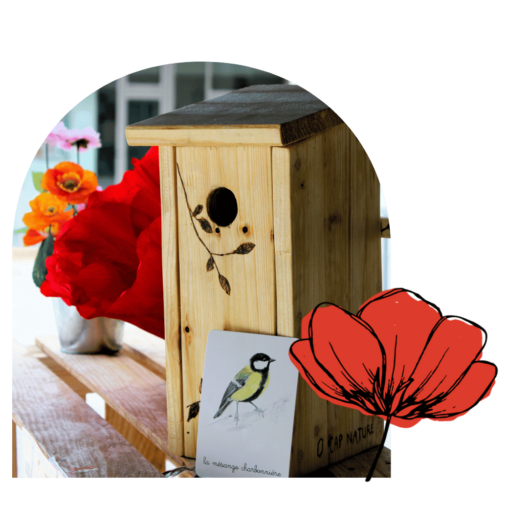 Animation nature Annecy Haute-Savoie Savoie activités nature diy nichoir oiseaux Animation nature Annecy Haute-Savoie Savoie activités nature diy nichoir oiseaux