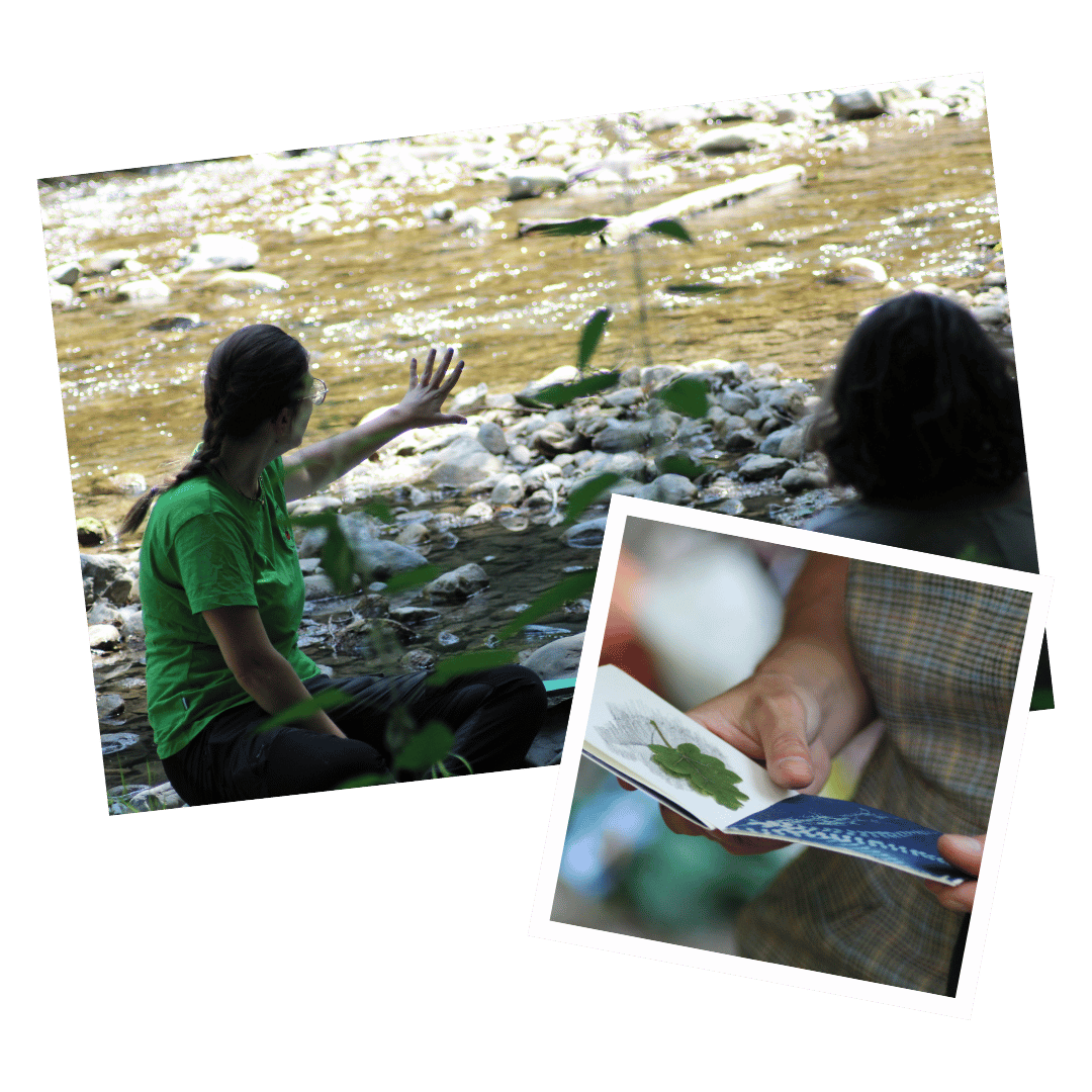 Animation nature Annecy Faverges Haute-Savoie Savoie activités nature animations pédagogiques nature Animation-nature-Annecy-Faverges-Haute-Savoie-Savoie-activites-nature-animations-pedagogiques-nature.