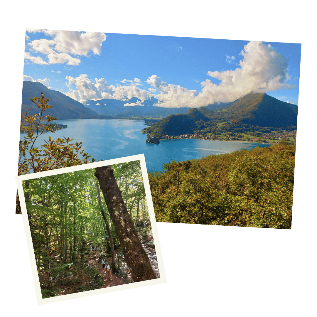 Animation nature Roc de Chère Annecy Haute-Savoie Savoie activités nature animations pédagogiques nature Animation-nature-Roc-de-Chere-Annecy-Haute-Savoie-Savoie-activites-nature-animations-pedagogiques-nature
