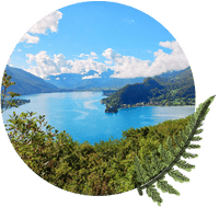 <br />
Balade-decouverte-de-la-Reserve-Naturelle-du-Roc-de-Chere