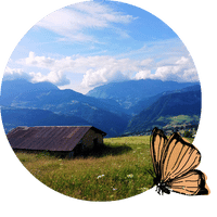 Balade-familiale-ressourçante-a-travers-forets-alpages