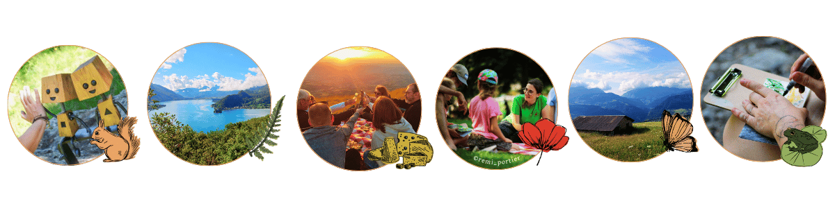 Le-programme-de-lete-estival-O-Cap-Nature
